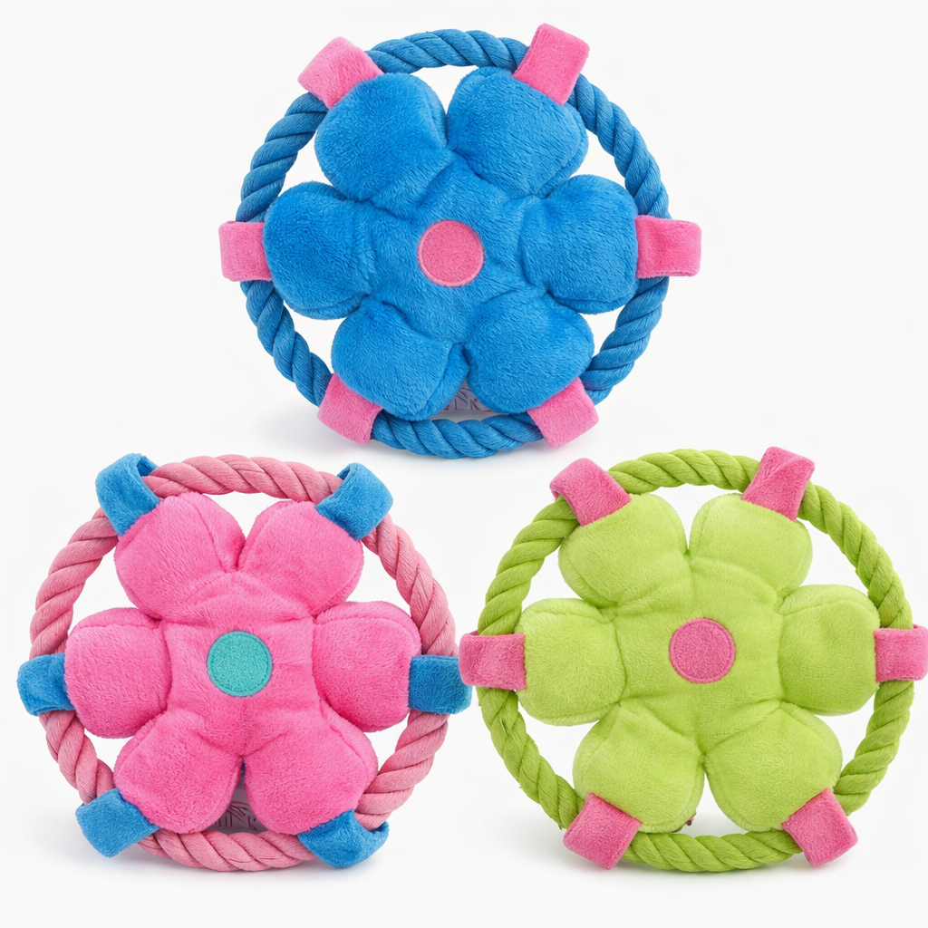 Macaron Series | Hand-Woven Cotton Rope Flower & Smile Frisbee Set