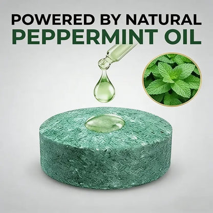 🌿Natural Peppermint Rodent Repellent Balls (12 Pack) 🚫Keep Rats, Mice & Pests Away Safely✅