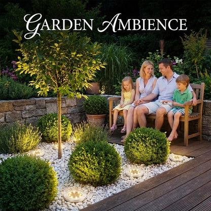 ☀️ Solar Powered 8-LED Ground Lights | Outdoor Pathway Lighting