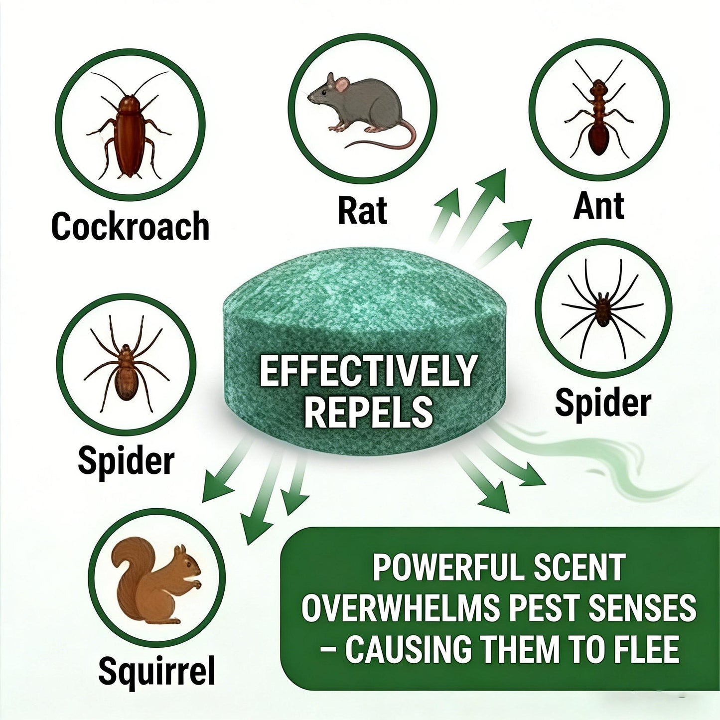 🌿Natural Peppermint Rodent Repellent Balls (12 Pack) 🚫Keep Rats, Mice & Pests Away Safely✅